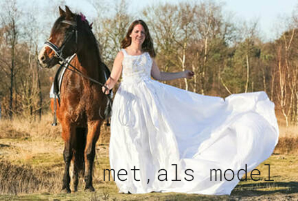 paarden met model